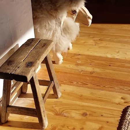 Panorama Sucha Gora ,lesny