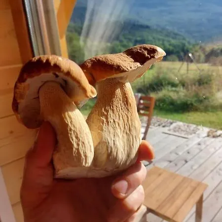 בית נופש Panorama Sucha Gora ,lesny Skawica (Lesser Poland)