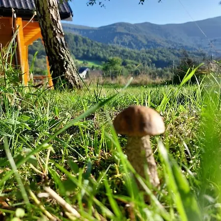 Holiday home Panorama Sucha Gora ,lesny