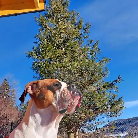 Panorama Sucha Gora ,lesny Skawica (Lesser Poland)