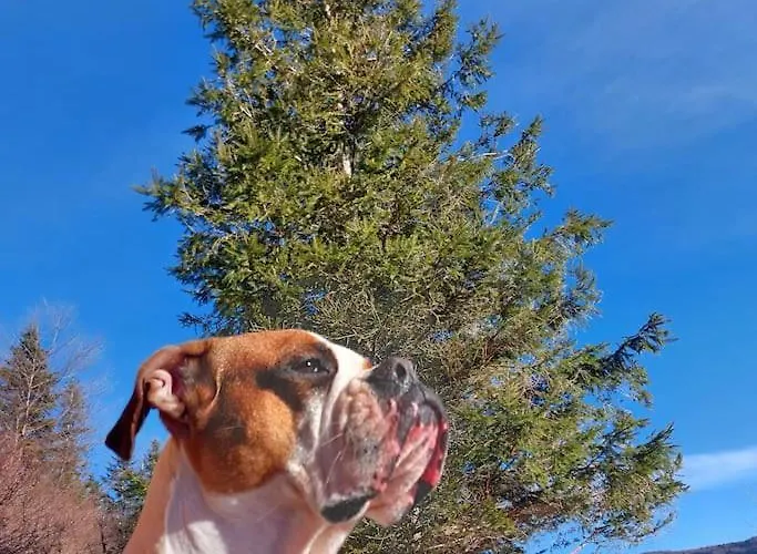 Panorama Sucha Gora ,lesny Skawica (Lesser Poland)